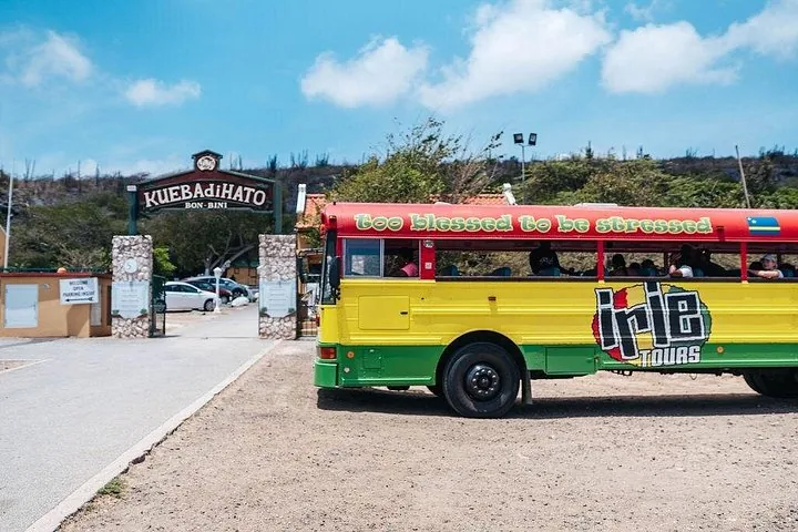 A colorful yellow, green, and red tour bus parked near Hato Caves entrance.